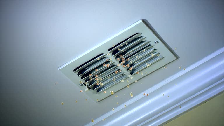 Best Affordable Duct Cleaning Services  in Orleans, VT